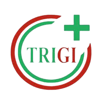 PT. TRISTANISA